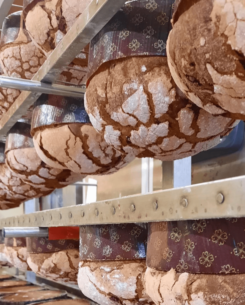 Questa immagine ha l'attributo alt vuoto; il nome del file è schermata-2022-12-18-alle-13.05.53.png